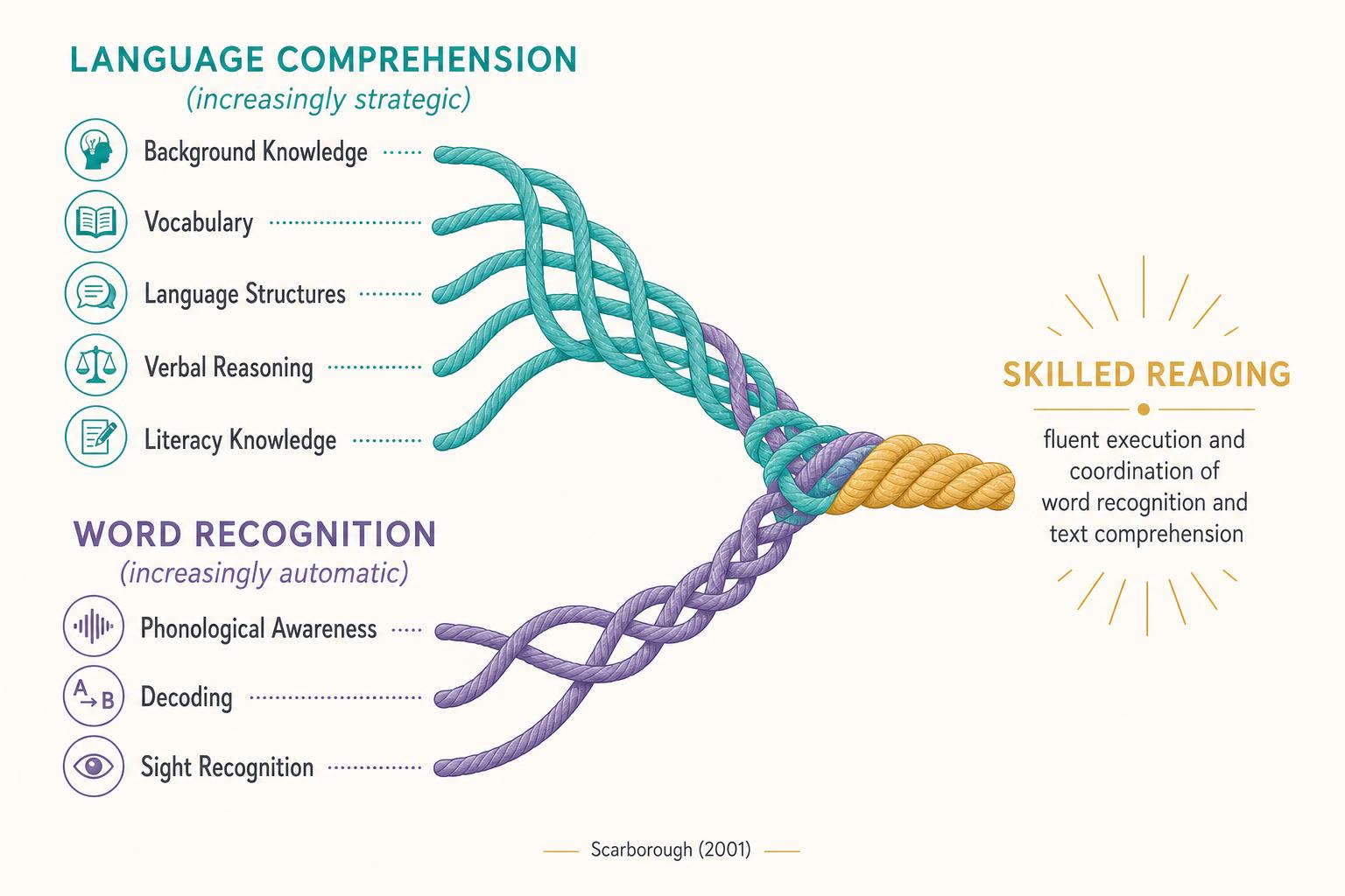 Scarborough's Reading Rope infographic: language comprehension strands (background knowledge, vocabulary, language structures, verbal reasoning, literacy knowledge) and word recognition strands (phonological awareness, decoding, sight recognition) braiding together into skilled reading.